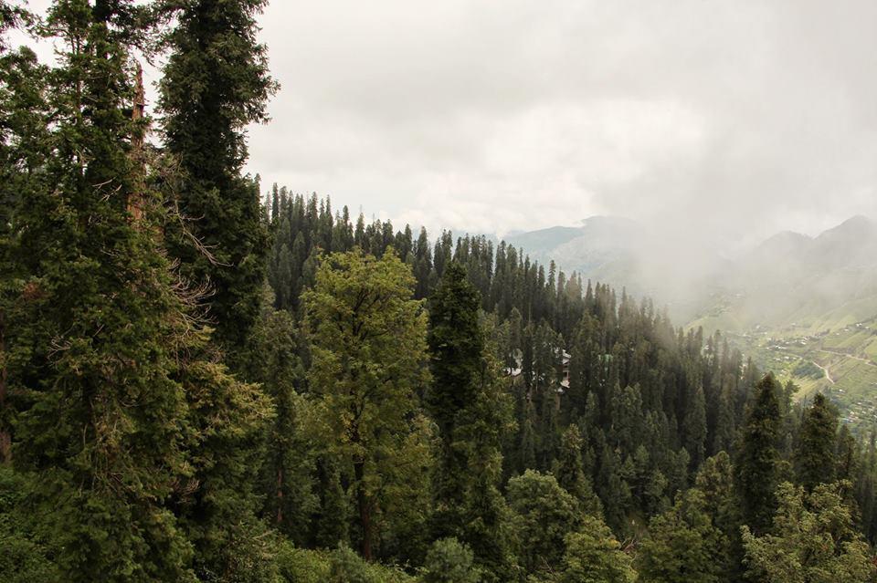 Summer Retreat Nathia Gali Kültér fotó